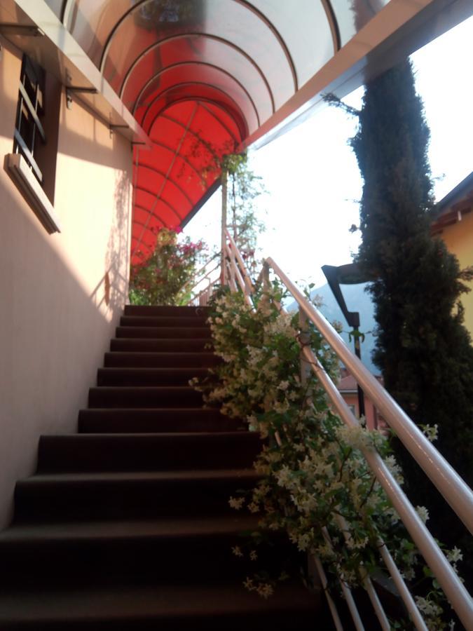 Отель Alloggio Ponte Dei Cavalleggeri Тренто Экстерьер фото